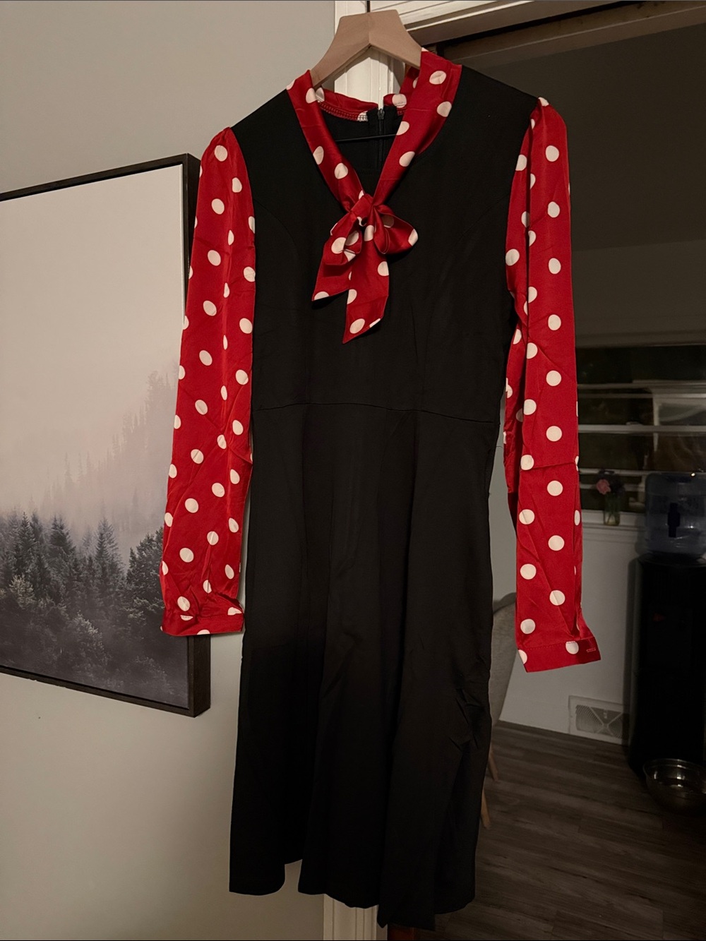 Black Dress with Red Polka Dot Sleeves and Neck Tie